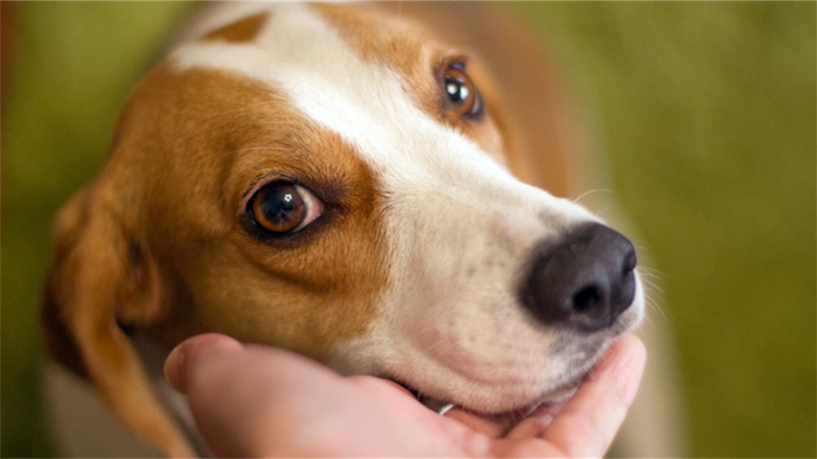 win10开机进入安全模式按哪个键