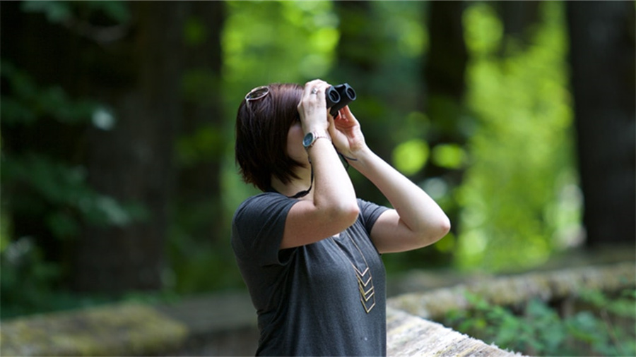 双卡双待怎么设置