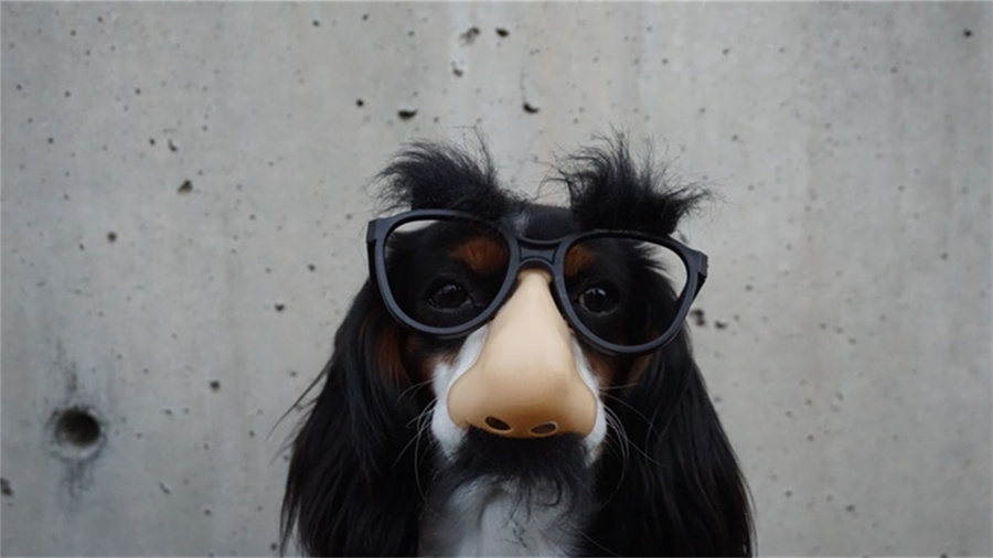 空调内机滴水怎么处理