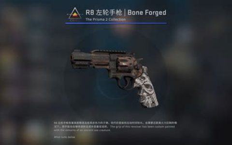 蛇噬武器箱能开出什么？2025年最新稀有物品掉落指南