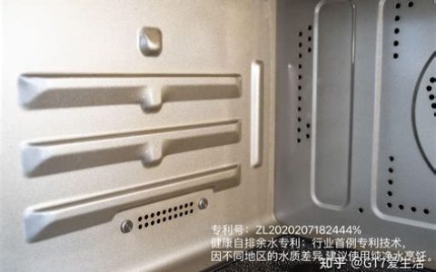 蒸气烤的多种用途？如何利用蒸汽烤制作健康多样化美食