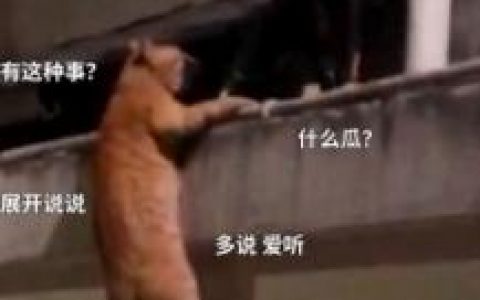 奥特曼承认谷歌威胁到OpenAI，即将推出新模型“Shallotpeat”