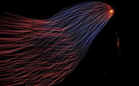 大模型“带病运行”，漏洞占比超六成