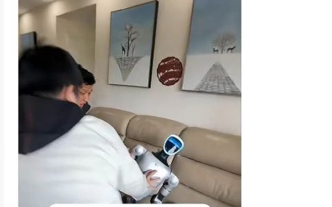 具身智能时代，谁将成为下一个“中国巴菲特”？