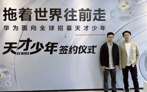 华为16级年薪多少？2025年最新薪资标准揭秘