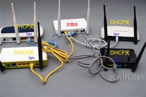 怎样桥接第二个无线路由器可以插网线？家庭网络扩展与有线连接设置指南