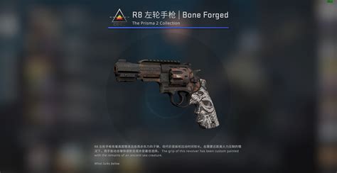 蛇噬武器箱能开出什么？2025年最新稀有物品掉落指南