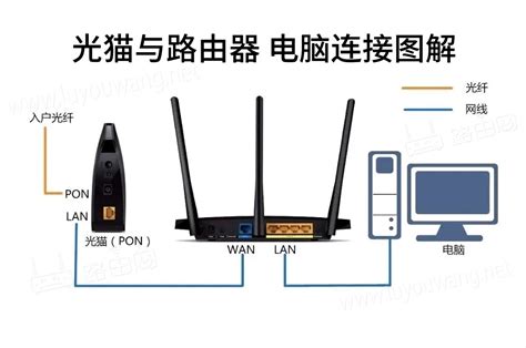 wifi改密码后连不上网怎么办？2025年最新快速修复指南