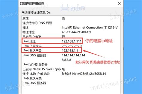 wifi打印机的ip地址怎么查？无线打印机IP地址查找方法详解