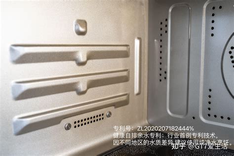 蒸气烤的多种用途？如何利用蒸汽烤制作健康多样化美食